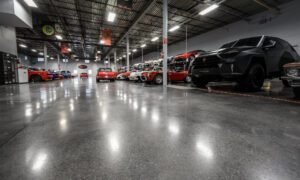 a showroom with lots of stylish cars